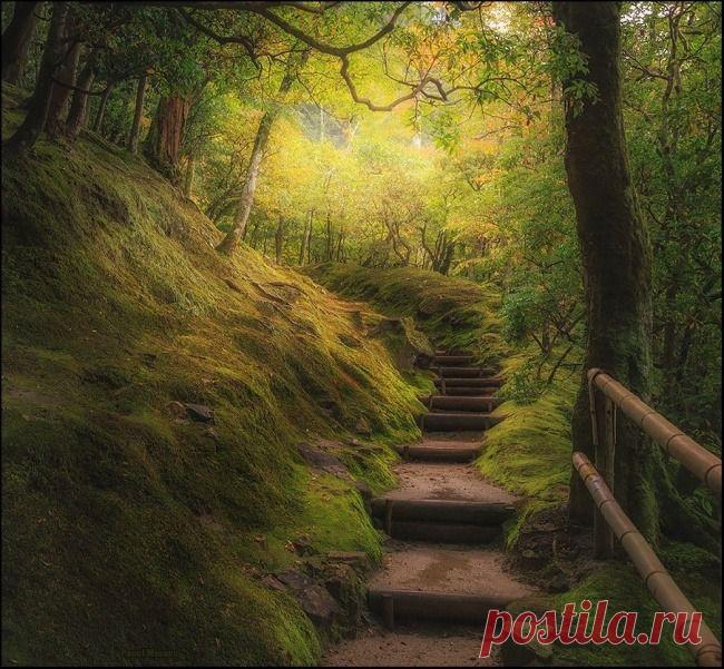 Мой Мир@Mail.Ru