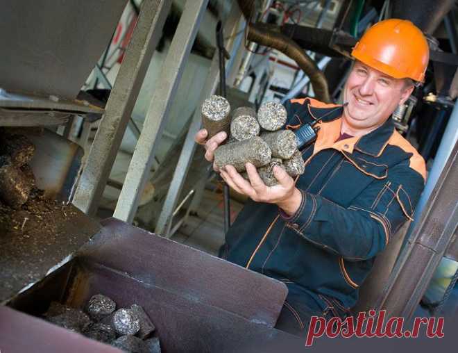 из 1 тонны лузги подсолнечника, сожженной в газогенераторах можно получить до 1000 кВт*ч электрической и 1400 кВт*ч. тепловой энергии.