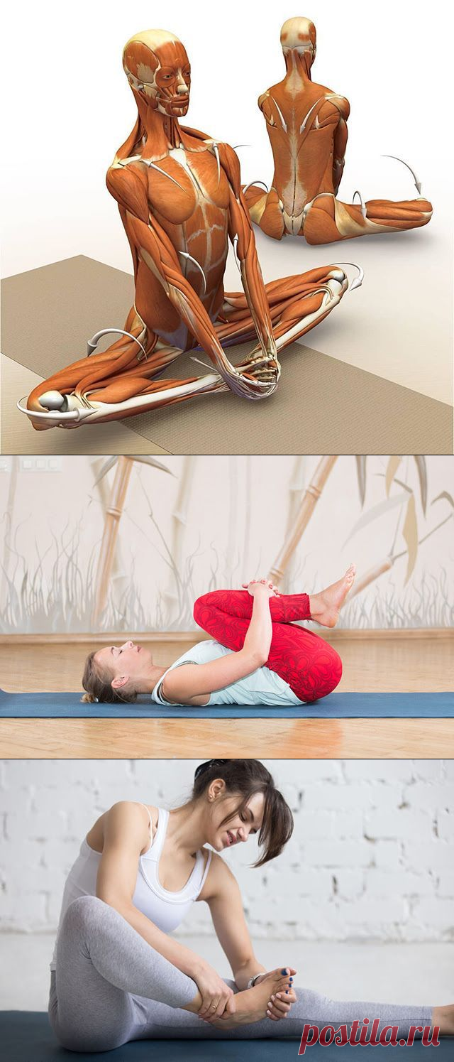 6 упражнений, которые снимут напряжение от шеи до пяток! ~ Шкатулка рецептов