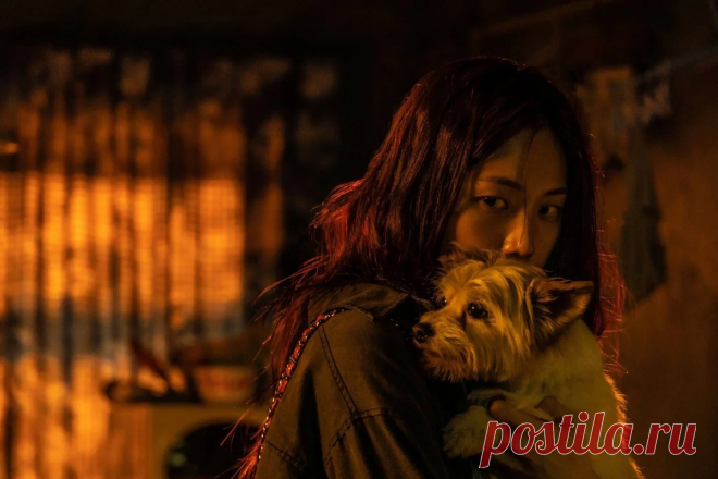 9 корейских триллеров и хорроров 2020-х, которые разрывают чарты Netflix | Подборки фильмов и сериалов | Дзен