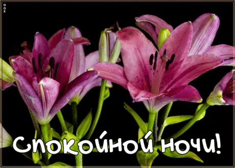 Плейкаст спокойной ночи