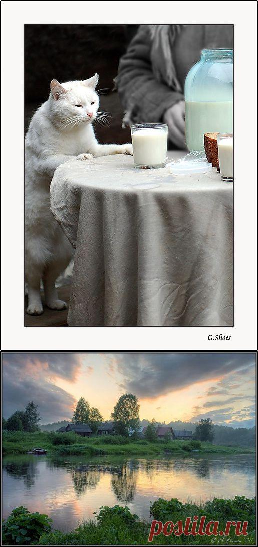 Деревенские мотивы...-