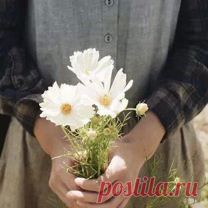 Однажды мы перестанем следовать моде и вдруг обретём собственный стиль. Наплевав на условности, будем сочетать не сочетаемое и экспериментировать с цветами. Мне простят слишком яркие наряды, помады, вызывающие причёски. Тебе простят твою простоту. И я достану бабушкину камею, а ты купишь фетровую шляпу на барахолке. И это будет по-настоящему красиво.