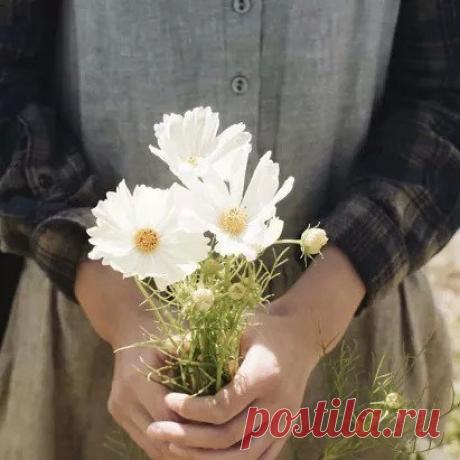 Однажды мы перестанем следовать моде и вдруг обретём собственный стиль. Наплевав на условности, будем сочетать не сочетаемое и экспериментировать с цветами. Мне простят слишком яркие наряды, помады, вызывающие причёски. Тебе простят твою простоту. И я достану бабушкину камею, а ты купишь фетровую шляпу на барахолке. И это будет по-настоящему красиво.