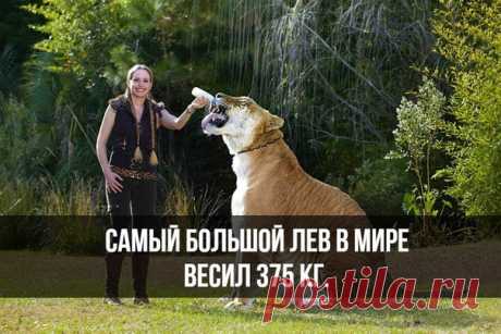 Узнай сегодня