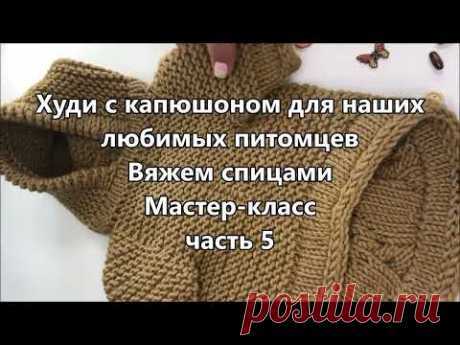 Модное худи для вашего питомца. Вяжем спицами. Мастер-класс. Часть 5