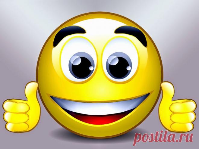 Не Катя, а дура - FUNNY!