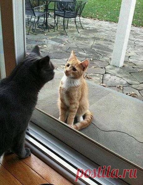 Интересные новости