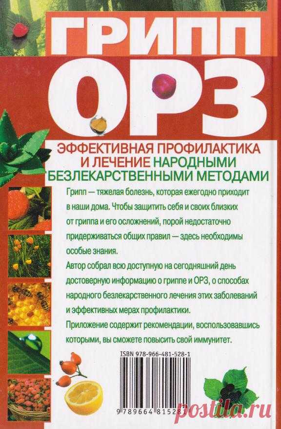 Грипп, ОРЗ: эффективная профилактика и лечение народными безлекарственными методами (fb2) | КулЛиб - Классная библиотека! Скачать книги бесплатно