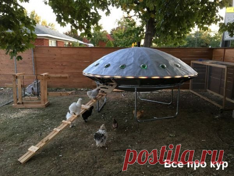 Курятник НЛО - пошаговое строительство с фото и видео ⋆ Все про кур А не построить ли нам курятник НЛО - оригинальный птичник своими руками? Смотрите фото и пошаговое руководство, как сделать. На видео шедевр во всей красе!