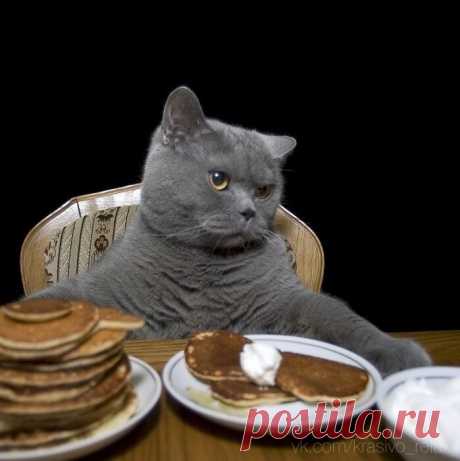 А в понедельник, Вася, пост....