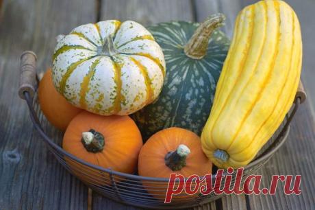 Блог сайта «Ваши любимые рецепты»