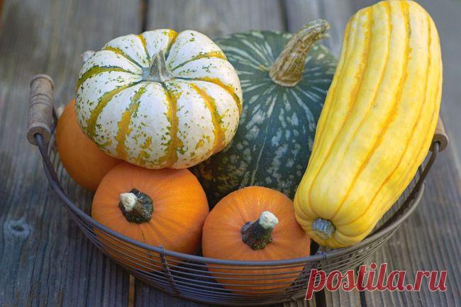 Блог сайта «Ваши любимые рецепты»