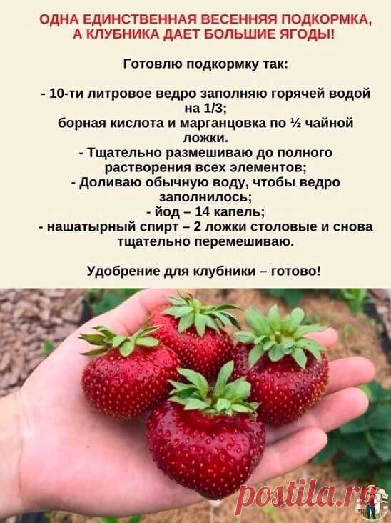 БАБУШКИНЫ СЕКРЕТЫ - Заметки | OK.RU