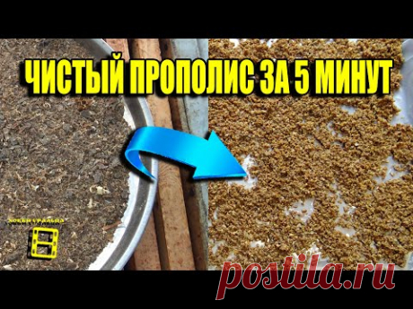 СУПЕР СПОСОБ ОЧИСТКИ ПРОПОЛИСА ОТ ПРИМЕСЕЙ. ПАСЕКА ЗИМОЙ 2 ДЛЯ НАЧИНАЮЩИХ ПЧЕЛОВОДОВ