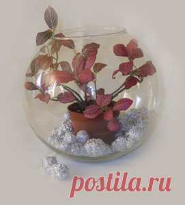 Комнатное растение в вазе. Мастер-класс | Домашний hand-made