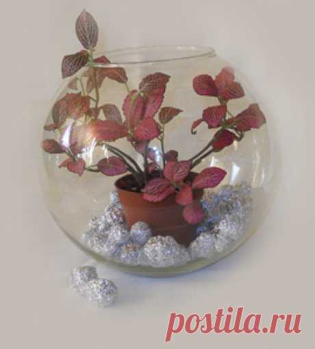 Комнатное растение в вазе. Мастер-класс | Домашний hand-made