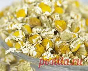 Ромашка для исцеления кишечника | Секреты красоты и здоровья