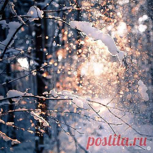Слеза и улыбка