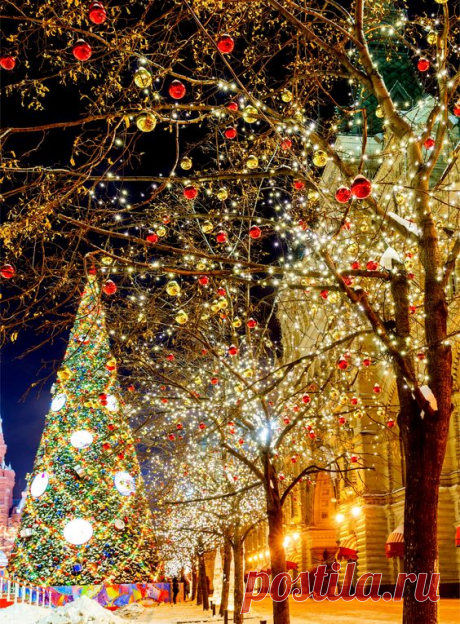 Noël Magique à Moscou