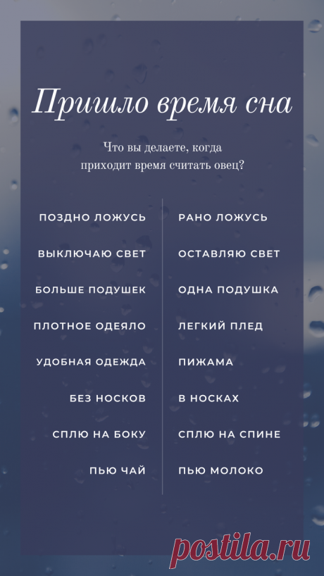 Сон и его значение для человека | Бабулиta | Яндекс Дзен