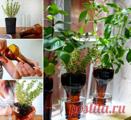 Как сделать переработанные бутылки Herb Garden | UsefulDIY.com