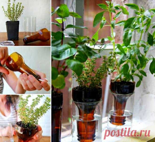 Как сделать переработанные бутылки Herb Garden | UsefulDIY.com