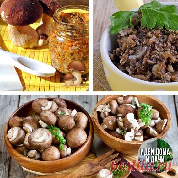 Грибная икра.

Очень вкусно и просто в приготовлении. Количество определяете сами. Грибы отвариваем около 15 минут. Делаем поджарку из репчатого лука и моркови. Соединяем поджарку с грибами и пропускаем через мясорубку. С добавлением специй по вкусу, лавровый лист, стакан масла, чеснок, мякоть помидор. Тушим на протяжении полу часа. Далее закатываем все в банки. Окутываем одеялом, ожидаем полного остывания. Пробуем, приятного аппетита.