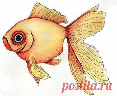Шаблоны рыбок для рисования