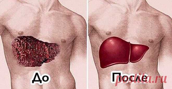 Это не просто овощной коктейль, это — целебная сыворотка для печени! Испытай оздоровительный эффект на себе, печень очистится и перестанет тебя беспокоить