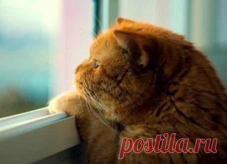 Мой Мир@Mail.Ru