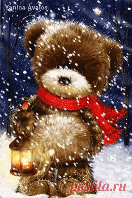 Мишка косолапый / cute bear – Google+