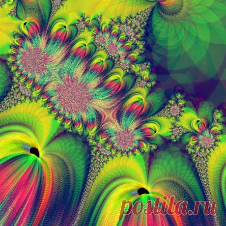 Фрактал, сделан в программе Fractal Explorer