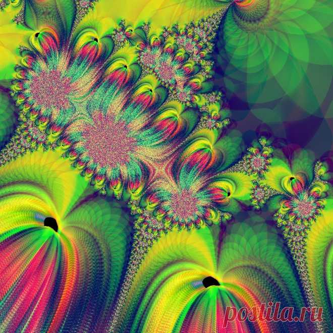 Фрактал, сделан в программе Fractal Explorer