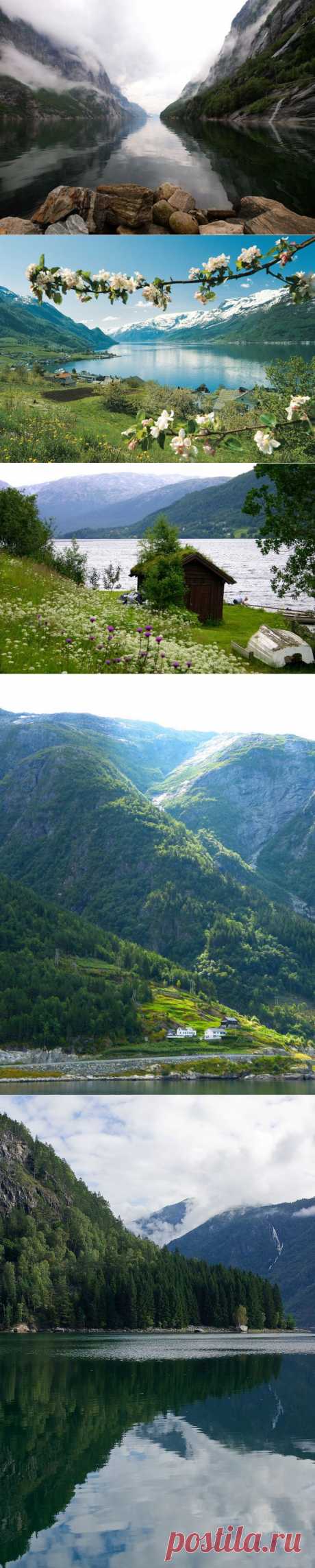 Самые красивые фьорды Норвегии : НОВОСТИ В ФОТОГРАФИЯХ