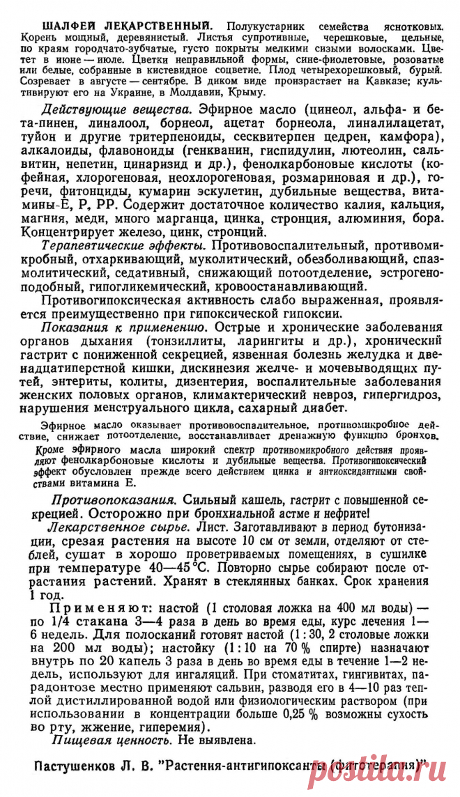 Шалфей лекарственный