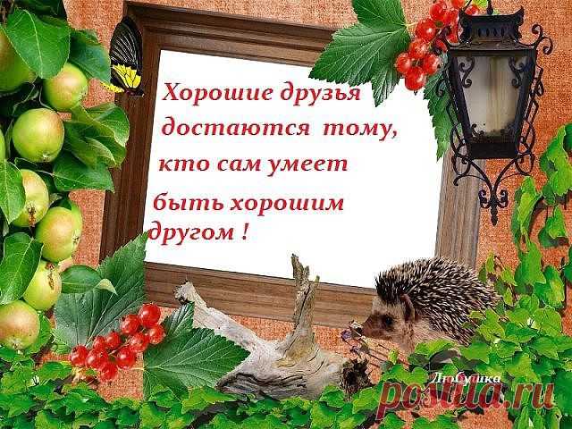 (5) Одноклассники