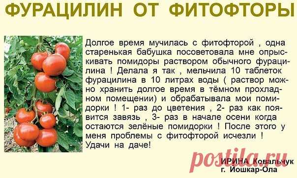 (1) Одноклассники