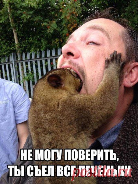 Прикольные фотомемы / Приколы