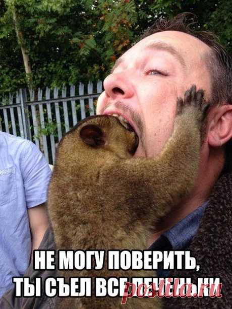 Прикольные фотомемы / Приколы