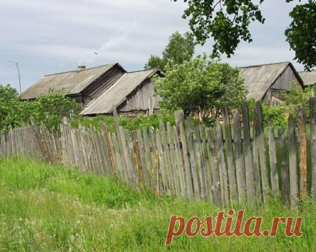 Красочные и яркие обои