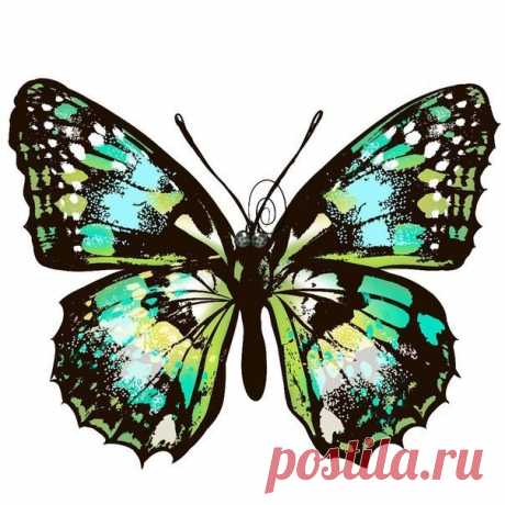 (67) Одноклассники