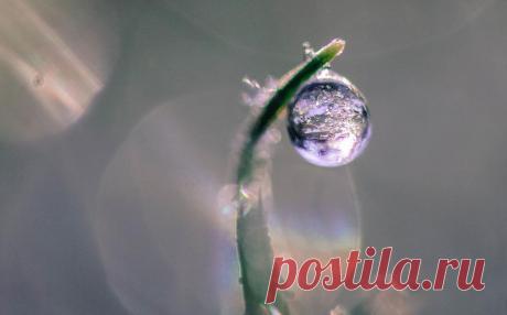 Иней, хрупкая красота... Волшебные фотографии;) - Фотопанорама