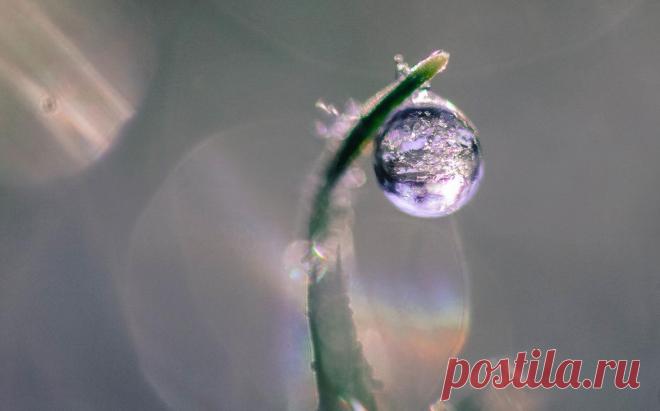 Иней, хрупкая красота... Волшебные фотографии;) - Фотопанорама