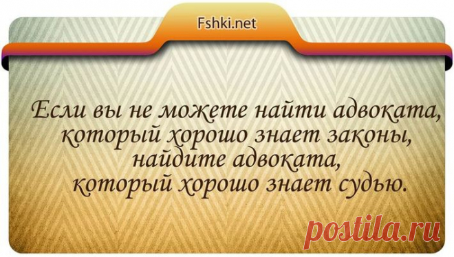 20 цитат в юморе про юристов и законы