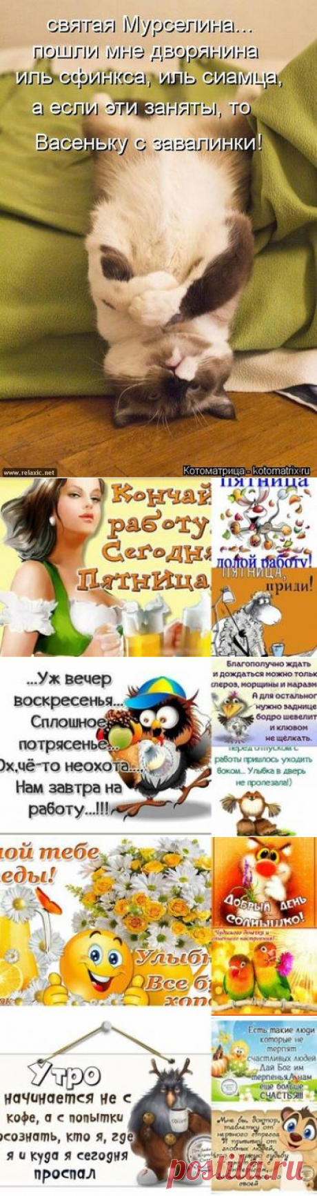 27 карточек в коллекции «смешинки» пользователя Galina R. в Яндекс.Коллекциях