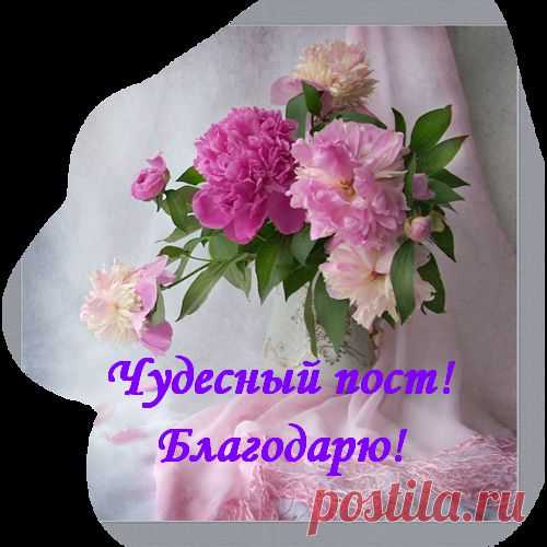 35 полезных советов хозяйке.