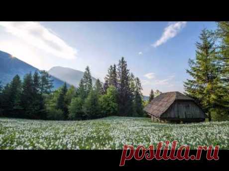 3 Hours of Relaxing Celtic Music: Harp & Flute | Meditation, Relaxation & Study