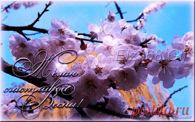 Цветы из репчатого лука. Decoration Of Vegetables