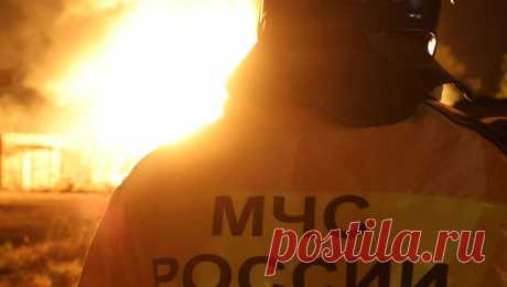 Лесной пожар под Ростовом распространился. Площадь лесного пожара в Милютинском районе Ростовской области возросла до 100 гектаров, заявили в департаменте лесного хозяйства по ЮФО. Об этом сообщает РИА Новости. По данным ведомства, пожар распространился в направлении хутора ...